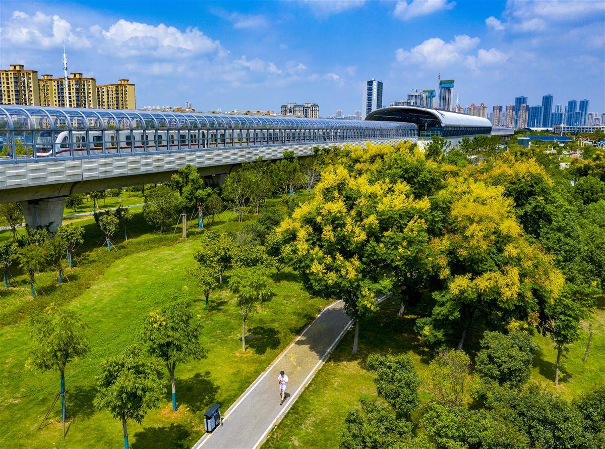 网页炸金花房卡